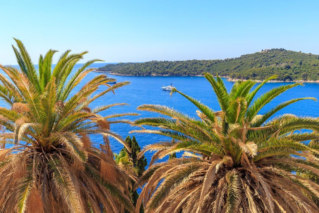 Two Palm Trees Apartment Dubrovnik Ngoại thất bức ảnh